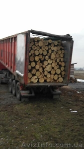 Продажа дров круглого леса (в ящиках, сетках). - <ro>Изображение</ro><ru>Изображение</ru> #8, <ru>Объявление</ru> #1303831