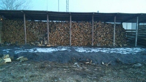 Продажа дров круглого леса (в ящиках, сетках). - <ro>Изображение</ro><ru>Изображение</ru> #7, <ru>Объявление</ru> #1303831