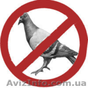 Засоби захисту від птахів - <ro>Изображение</ro><ru>Изображение</ru> #1, <ru>Объявление</ru> #1578282