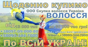 Купуємо волосся у Львові (Висока ціна)