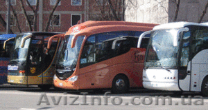 Перевезення автобусами мікроавтобусами Трансфер Замовити автобус мікроавтобус - <ro>Изображение</ro><ru>Изображение</ru> #1, <ru>Объявление</ru> #1609784