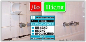 ВІДНОВЛЕННЯ МІЖПЛИТОЧНИХ ШВІВ - <ro>Изображение</ro><ru>Изображение</ru> #2, <ru>Объявление</ru> #1622068