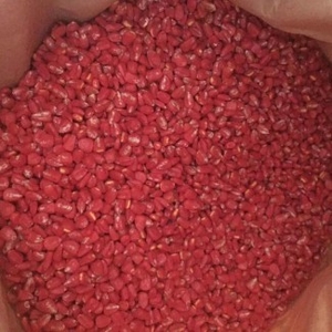 Семена кукурузы, насіння кукурудзи ТАР-349 - <ro>Изображение</ro><ru>Изображение</ru> #1, <ru>Объявление</ru> #1679558