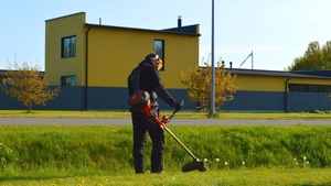 Покос травы,  вырубка кустарников,  спиливание ненужных деревьев уборка территории