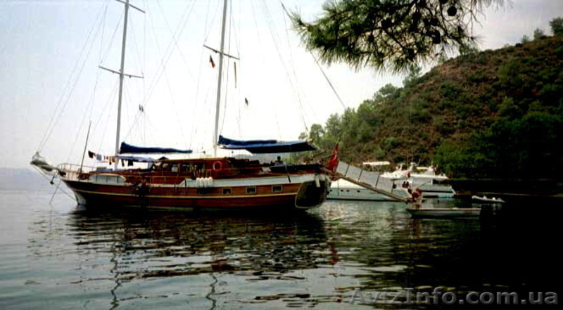 Ищу партнера - <ro>Изображение</ro><ru>Изображение</ru> #2, <ru>Объявление</ru> #2003