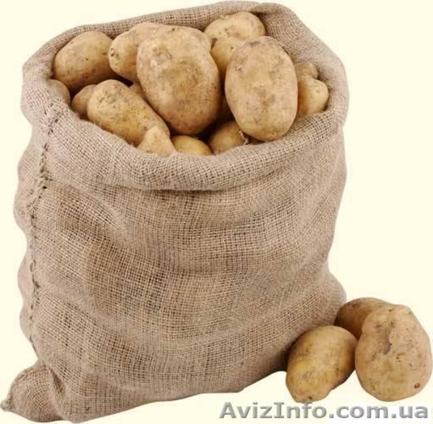 Овочі гуртом та роздріб - <ro>Изображение</ro><ru>Изображение</ru> #2, <ru>Объявление</ru> #115861