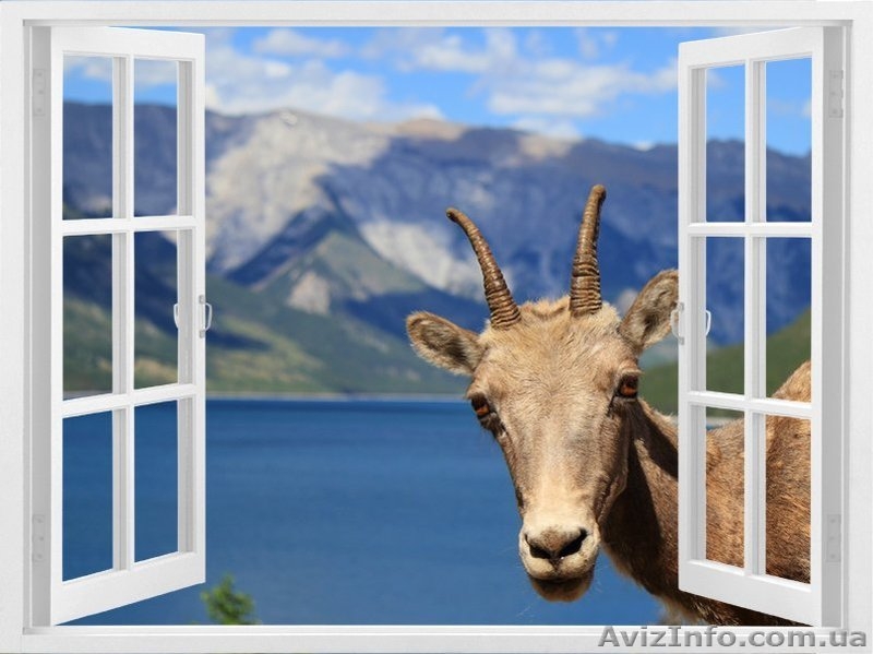 Фото обои, Фото шпалери - <ro>Изображение</ro><ru>Изображение</ru> #2, <ru>Объявление</ru> #326180