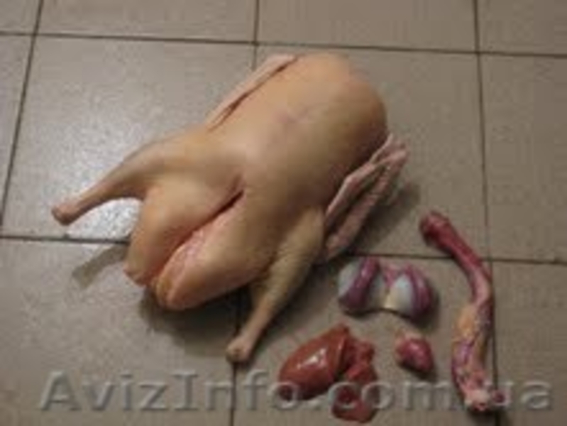 Мясо гуся в тушках - <ro>Изображение</ro><ru>Изображение</ru> #3, <ru>Объявление</ru> #420645