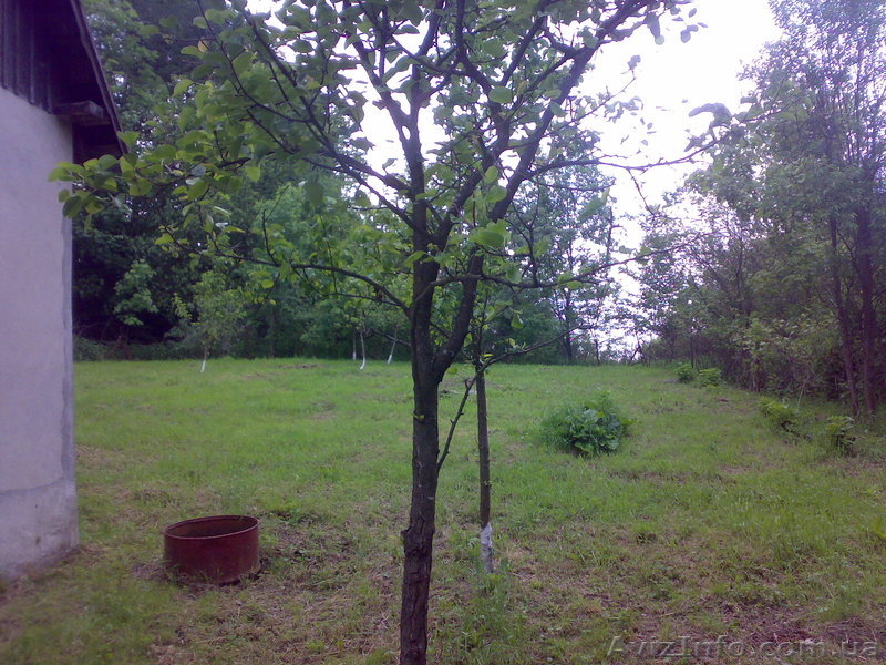 продам Дачу с. Будьків, 28 км від Львова - <ro>Изображение</ro><ru>Изображение</ru> #3, <ru>Объявление</ru> #590907