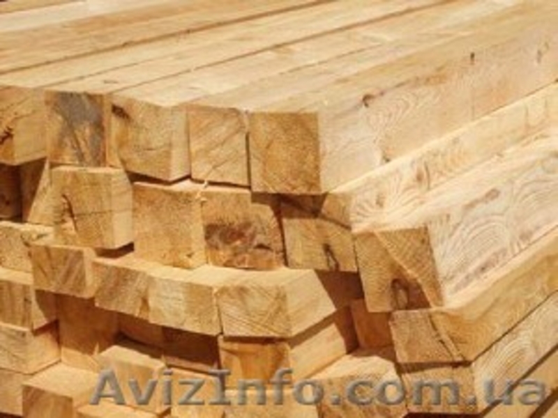 Лиственница сибирская Львов Украина - <ro>Изображение</ro><ru>Изображение</ru> #6, <ru>Объявление</ru> #153177