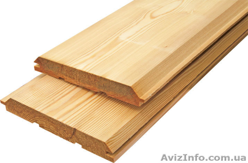 Лиственница сибирская Львов Украина - <ro>Изображение</ro><ru>Изображение</ru> #5, <ru>Объявление</ru> #153177