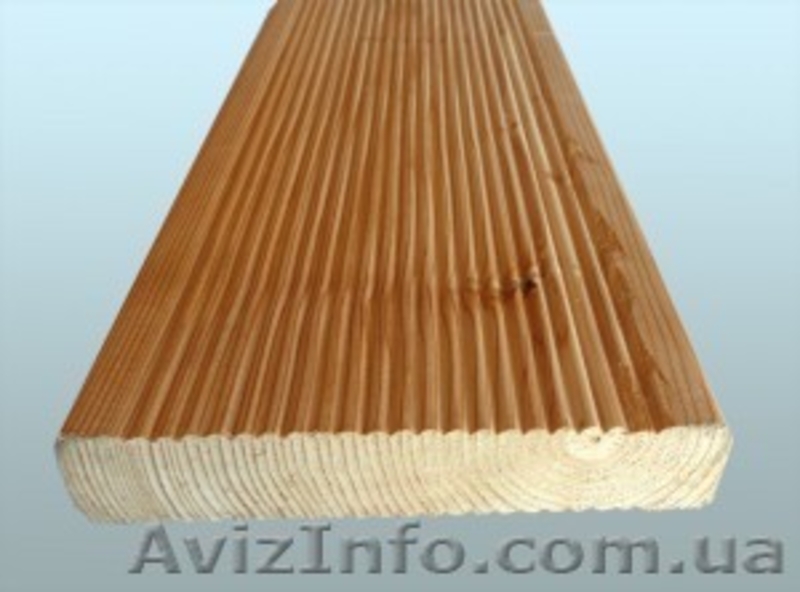 Лиственница сибирская Львов Украина - <ro>Изображение</ro><ru>Изображение</ru> #2, <ru>Объявление</ru> #153177