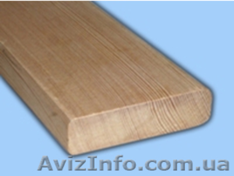 Лиственница сибирская Львов Украина - <ro>Изображение</ro><ru>Изображение</ru> #4, <ru>Объявление</ru> #153177