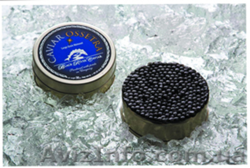 Икра черная осетровая стерляди - <ro>Изображение</ro><ru>Изображение</ru> #4, <ru>Объявление</ru> #741039