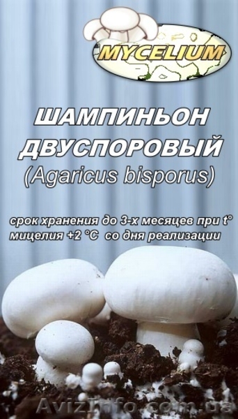 Мицелий вешенки, шампиньона Недорого! Міцелій гливи, печериці - <ro>Изображение</ro><ru>Изображение</ru> #1, <ru>Объявление</ru> #735554