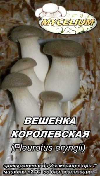 Мицелий вешенки, шампиньона Недорого! Міцелій гливи, печериці - <ro>Изображение</ro><ru>Изображение</ru> #4, <ru>Объявление</ru> #735554