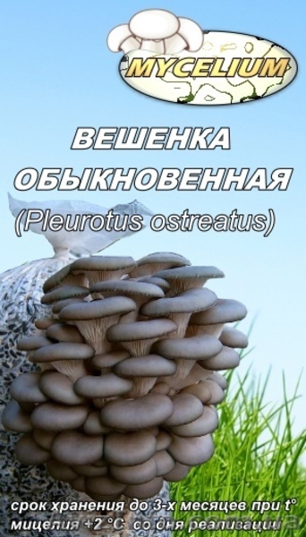 Мицелий вешенки, шампиньона Недорого! Міцелій гливи, печериці - <ro>Изображение</ro><ru>Изображение</ru> #2, <ru>Объявление</ru> #735554