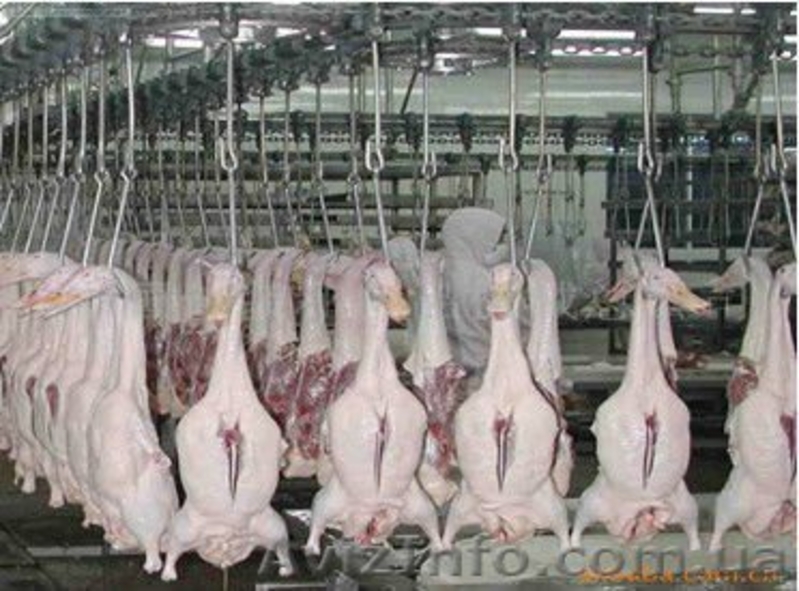 Оборудование мясоперерабатывающее - <ro>Изображение</ro><ru>Изображение</ru> #8, <ru>Объявление</ru> #918867