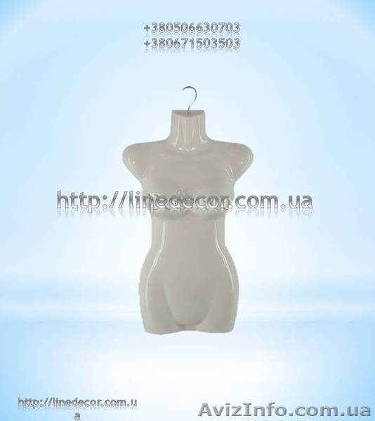 манекен полу-тулуб - <ro>Изображение</ro><ru>Изображение</ru> #1, <ru>Объявление</ru> #919688