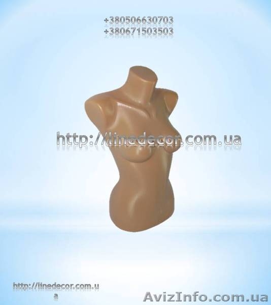 Продаю різноманітні манекени українського виробництва - <ro>Изображение</ro><ru>Изображение</ru> #7, <ru>Объявление</ru> #919769