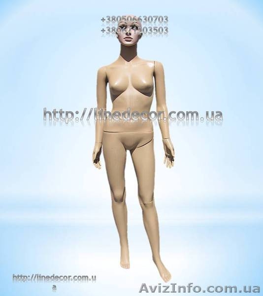 Продаю різноманітні манекени українського виробництва - <ro>Изображение</ro><ru>Изображение</ru> #5, <ru>Объявление</ru> #919769