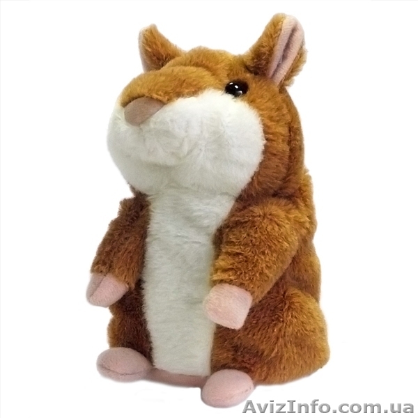 Хомячок который не даст вам скучать! -_- - <ro>Изображение</ro><ru>Изображение</ru> #3, <ru>Объявление</ru> #957392