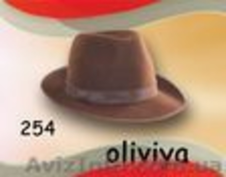 Привабливі та стильні капелюшки - <ro>Изображение</ro><ru>Изображение</ru> #3, <ru>Объявление</ru> #1024450