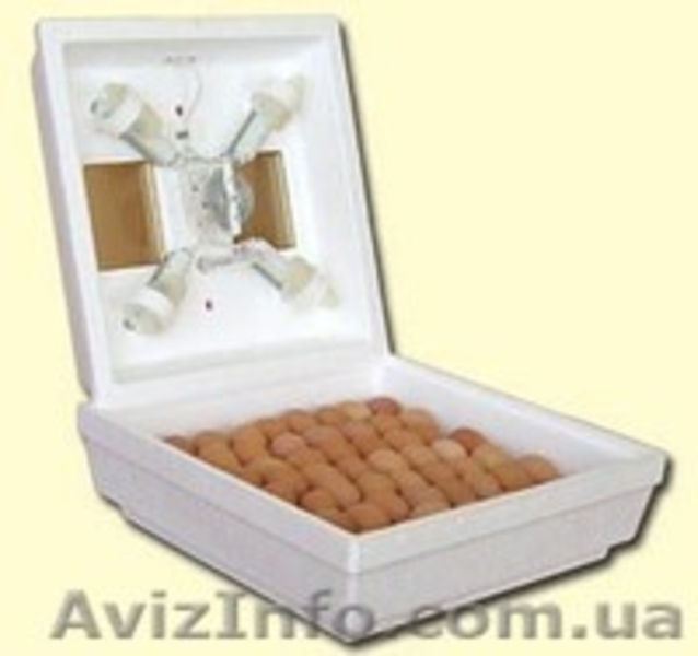 Інкубатори побутові - <ro>Изображение</ro><ru>Изображение</ru> #5, <ru>Объявление</ru> #1063357