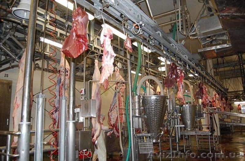 Линия по убою свиней и крс  - <ro>Изображение</ro><ru>Изображение</ru> #3, <ru>Объявление</ru> #1149793