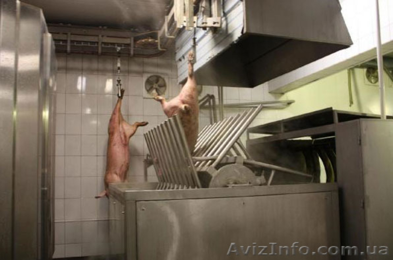 Оборудование для убойного цеха - <ro>Изображение</ro><ru>Изображение</ru> #1, <ru>Объявление</ru> #1149791
