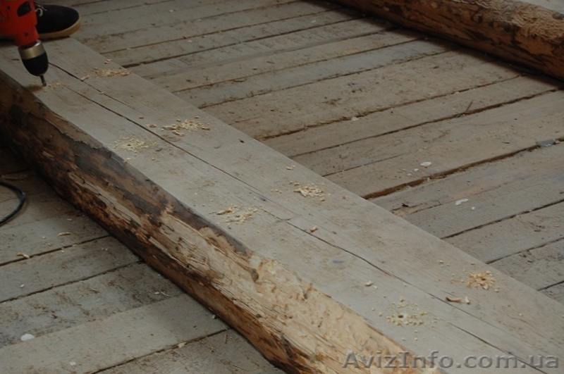 Защита древесины. Ликвидация насекомых вредителей древесины. Антисептик. - <ro>Изображение</ro><ru>Изображение</ru> #3, <ru>Объявление</ru> #635209