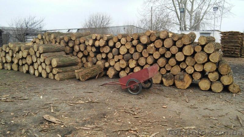 Продажа дров круглого леса (в ящиках, сетках). - <ro>Изображение</ro><ru>Изображение</ru> #1, <ru>Объявление</ru> #1303831