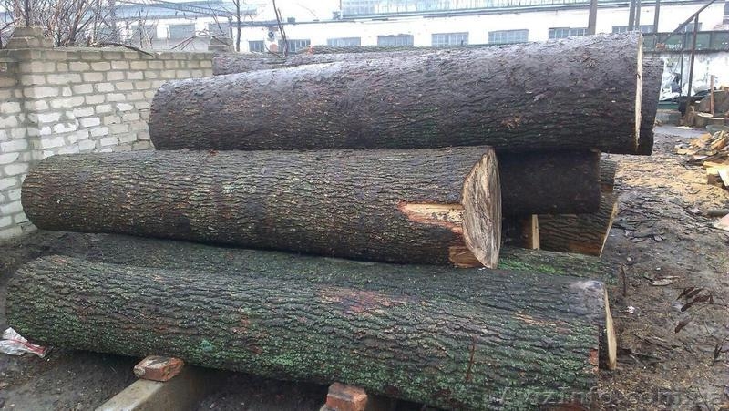 Продажа дров круглого леса (в ящиках, сетках). - <ro>Изображение</ro><ru>Изображение</ru> #2, <ru>Объявление</ru> #1303831