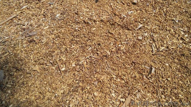 Переработка древесины. - <ro>Изображение</ro><ru>Изображение</ru> #1, <ru>Объявление</ru> #1303834