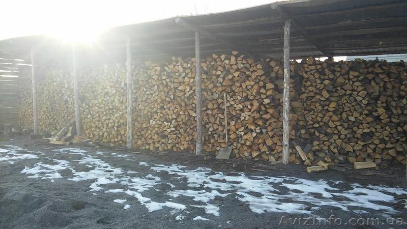 Дрова- дешевый обогрев зимой. - <ro>Изображение</ro><ru>Изображение</ru> #7, <ru>Объявление</ru> #1303832