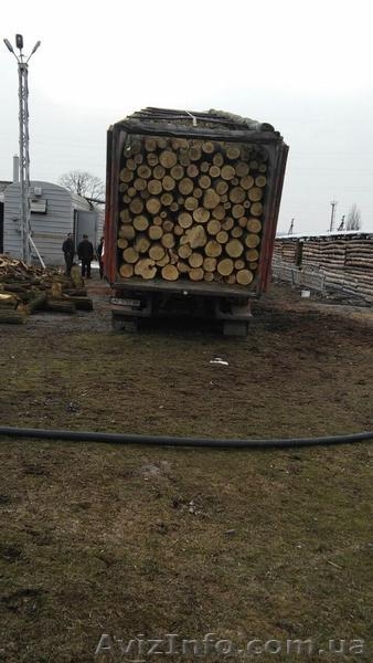 Дрова- дешевый обогрев зимой. - <ro>Изображение</ro><ru>Изображение</ru> #9, <ru>Объявление</ru> #1303832