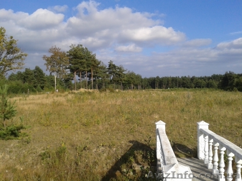 сосновый лес, гостиница, база отдыха, котеджный городок - <ro>Изображение</ro><ru>Изображение</ru> #1, <ru>Объявление</ru> #1386940