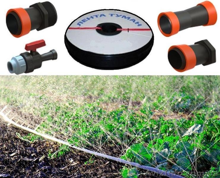 Шланг Туман, Голден Спрей (Golden spray)  - <ro>Изображение</ro><ru>Изображение</ru> #7, <ru>Объявление</ru> #1446416