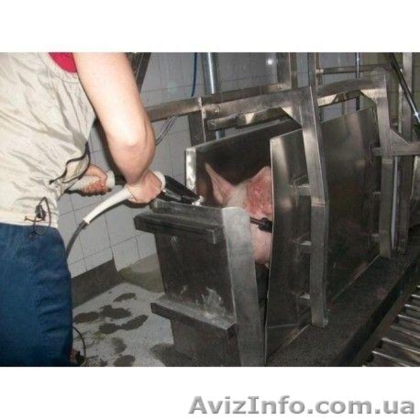 Бокс глушения свиней - <ro>Изображение</ro><ru>Изображение</ru> #4, <ru>Объявление</ru> #1473185