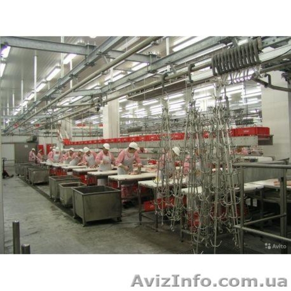 Линия по переработке мяса крупного рогатого скота - <ro>Изображение</ro><ru>Изображение</ru> #1, <ru>Объявление</ru> #1473183