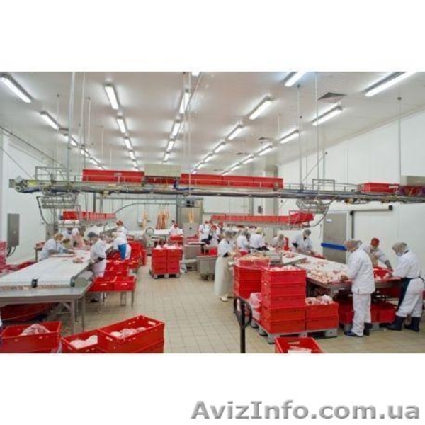 Линия по переработке мяса крупного рогатого скота - <ro>Изображение</ro><ru>Изображение</ru> #3, <ru>Объявление</ru> #1473183