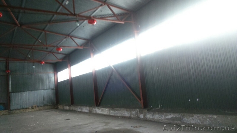 Ангар утепленний металевий 480кв.м. - <ro>Изображение</ro><ru>Изображение</ru> #3, <ru>Объявление</ru> #1544542