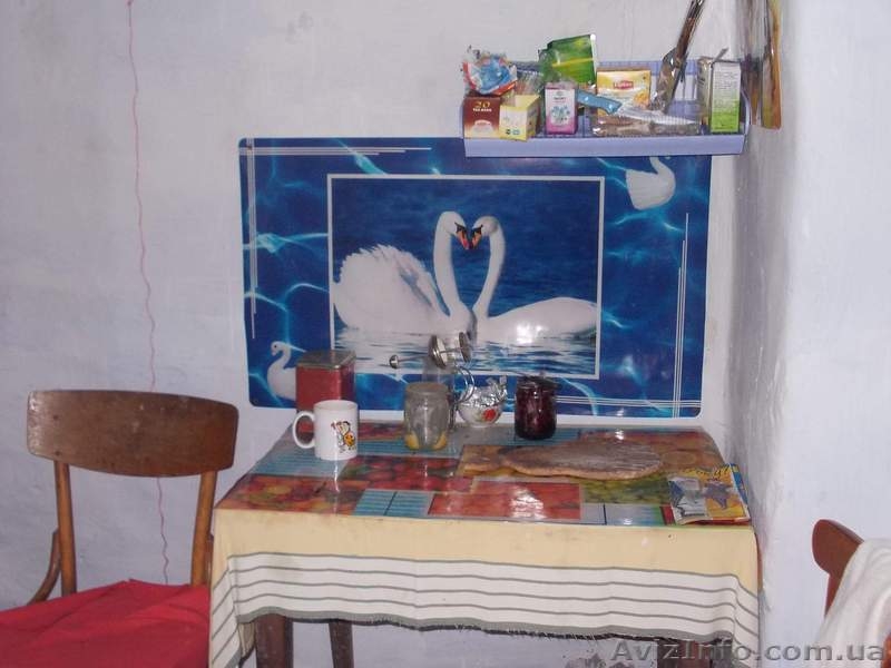 Продам хату з огородом та садом - <ro>Изображение</ro><ru>Изображение</ru> #4, <ru>Объявление</ru> #1545258