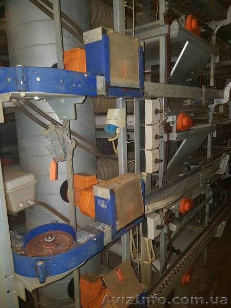 Клетка БИГ ДАЧМАН 2009 г.  - <ro>Изображение</ro><ru>Изображение</ru> #2, <ru>Объявление</ru> #1615270