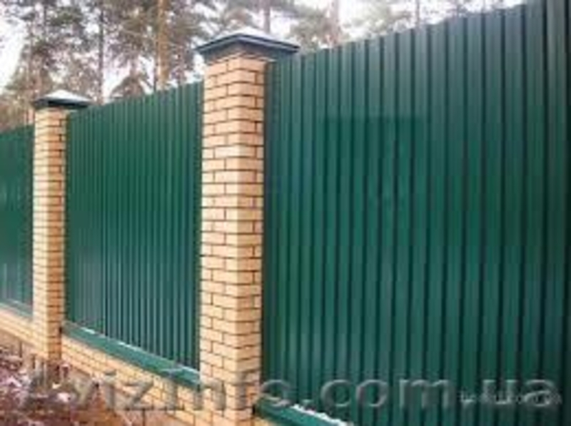 Мeтaлoчeрeпиця та прoфнaстил - <ro>Изображение</ro><ru>Изображение</ru> #1, <ru>Объявление</ru> #1618446