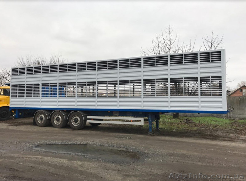 Полуприцеп скотовоз SCHMITZ (для перевозки животных) - <ro>Изображение</ro><ru>Изображение</ru> #5, <ru>Объявление</ru> #1643469