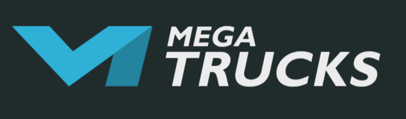 Запчастини до вантажних автомобілів MAN - <ro>Изображение</ro><ru>Изображение</ru> #2, <ru>Объявление</ru> #1647094