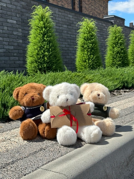 Плюшевий ведмедик з вашим голосом | Подарунок з аудіо-повідомленням (3 кольори) - <ro>Изображение</ro><ru>Изображение</ru> #2, <ru>Объявление</ru> #1751256