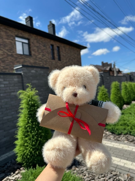 Плюшевий ведмедик з вашим голосом | Подарунок з аудіо-повідомленням (3 кольори) - <ro>Изображение</ro><ru>Изображение</ru> #3, <ru>Объявление</ru> #1751256