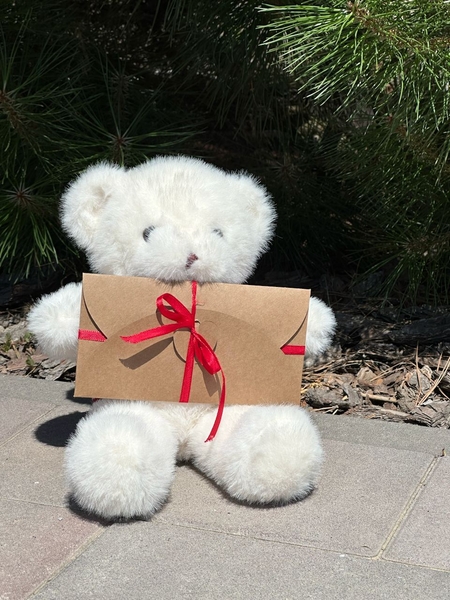 Плюшевий ведмедик з вашим голосом | Подарунок з аудіо-повідомленням (3 кольори) - <ro>Изображение</ro><ru>Изображение</ru> #4, <ru>Объявление</ru> #1751256